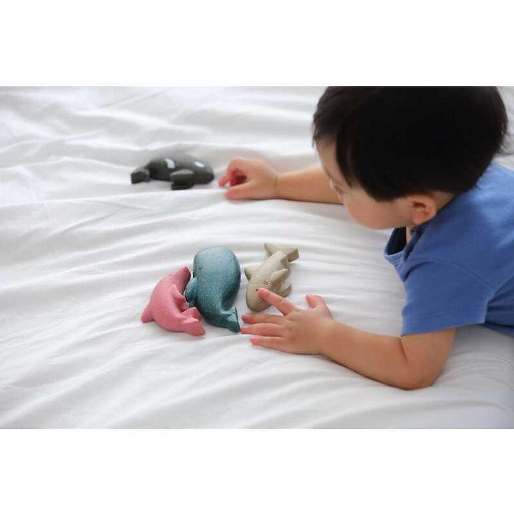 Kid playing PlanToys Orca