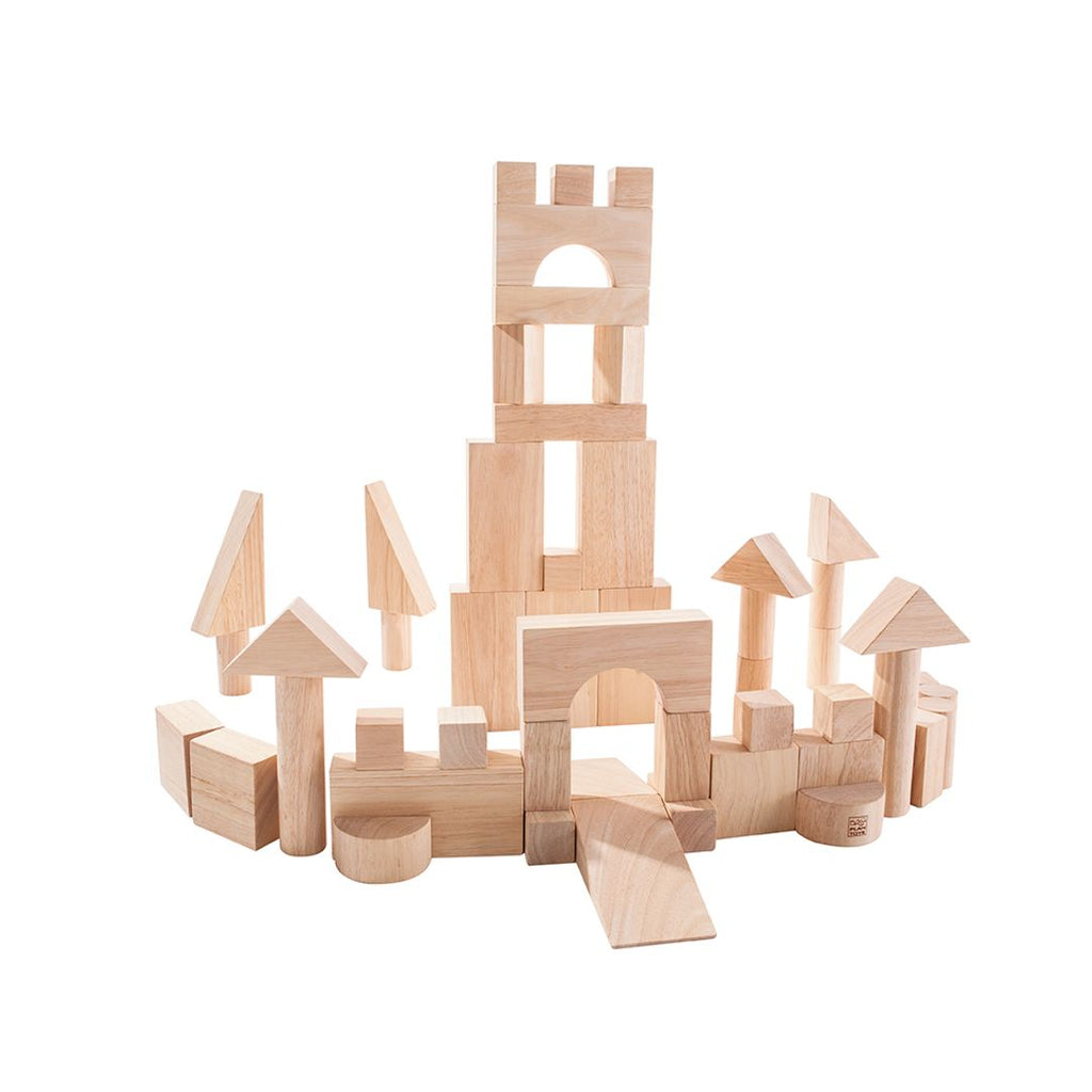 PlanToys natural 50 Unit Blocks wooden toy