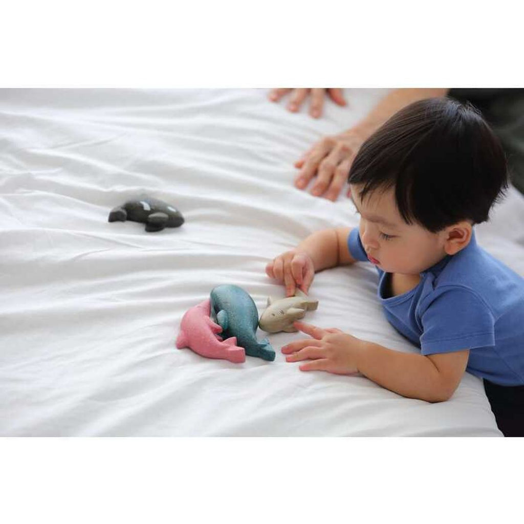 Kid playing PlanToys Shark